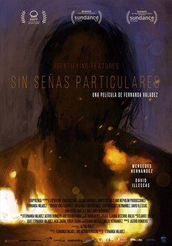 Coverart-identifying-features-sin-se-as-particulares.jpg